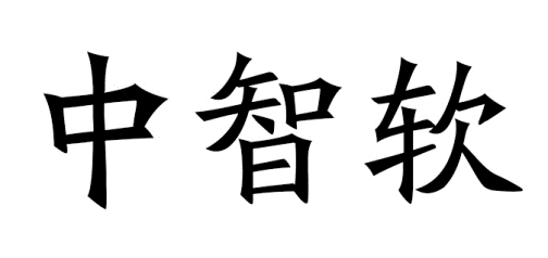中智软